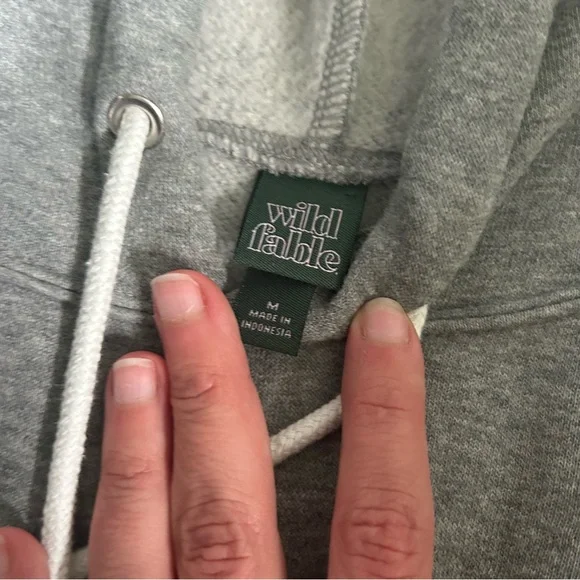 [wild fable] Gray Cropped Hoodie - Picture 4 of 6